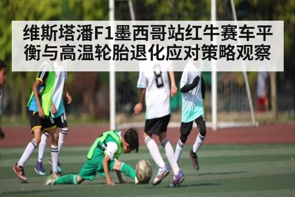 维斯塔潘F1墨西哥站红牛赛车平衡与高温轮胎退化应对策略观察